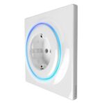 https-erply-s3-amazonaws-com-364665-pictures-1795-5dee093c048dc9-74485353-fibaro-walli-outlet-type-f-fgwof-011-2